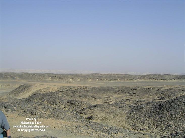 Desert - Desert 109.jpg