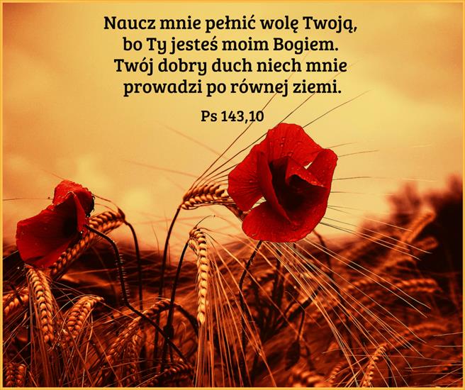  Psalmy - Ps 143,10-min.png
