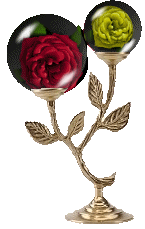 Bukiety kwiatów w wazonach,koszach - rose18.gif
