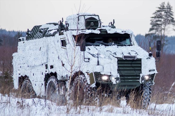 Pojazdy bojowe - The brand-new TITUS armed vehicles of the Czech Repu...ent of NATO eFP BG LTU have arrived in Lithuania 02.jpg
