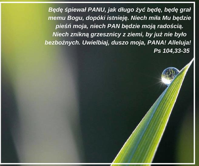  Psalmy - Ps 104,33-35-min.png