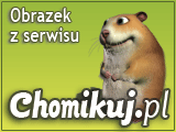 Śmieszne filmy - ptaszek.mpeg
